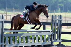 Figure 6: Incorrect front leg
technique. This horse is “hanging?
its front legs. Notice how
the foreleg is not parallel with
the ground. A horse that jumps
in this manner is considered
unsafe since its legs are more
apt to be pulled under its body
if it hits the obstacle.